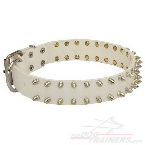 Collare in cuoio bianco con borchie a punta per cane